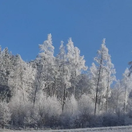 Villa U Janosika Bozkow