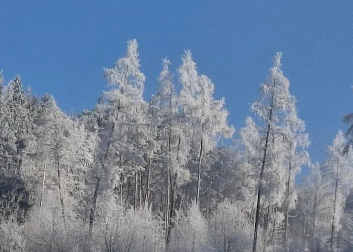 Villa U Janosika Bozkow